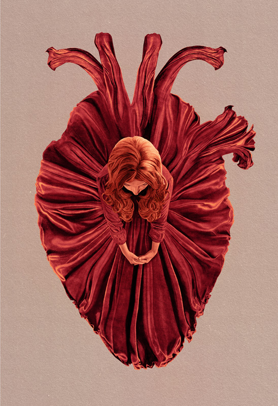 Anatomy Cover
