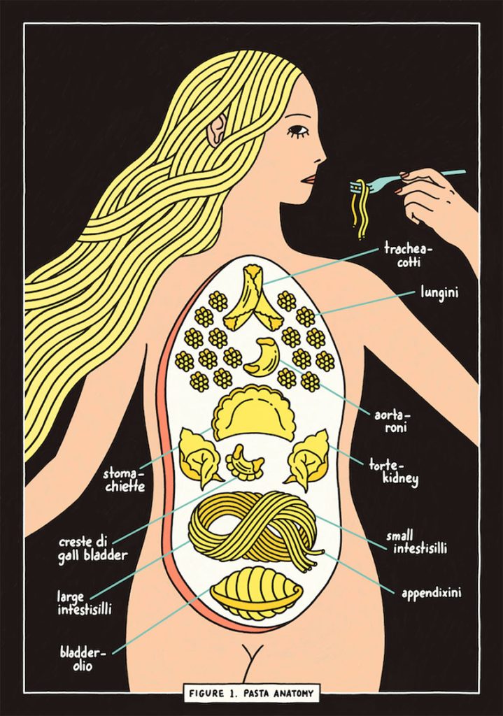 Pasta Anatomy