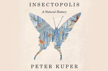 insectopolis_600x400