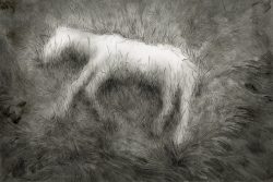 <strong>$5000 Nancy Lee Rhodes Roberts Scholarship</strong><br>Ke Yu | <i>Arrival</i><BR>School of Visual Arts | Instructor(s): Josh Cochran <BR>Medium: Ink on rice paper<BR>